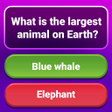 أيقونة البرنامج: Trivia Quiz Games