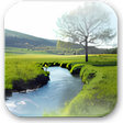 Icône du programme : River in Bavaria Wallpape…