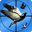 程序图标：Flying Bird Hunting Games