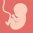 Ikon program: HiMommy Pregnancy Tracker…