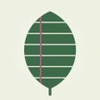 Иконка программы: Class 12 Biology Notes  M…