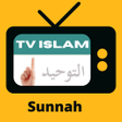 程序图标：TV Islam Indonesia and Ra…