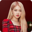 أيقونة البرنامج: Blackpink Rose Wallpaper …
