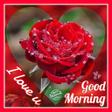 Icon of program: good morning and good nig…