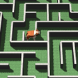Icoon van programma: Dog Maze 3D