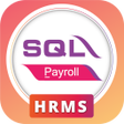 程序图标：SQL HRMS