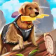 Zoro Pet Run - Online Multiplayer Dog Racing Game