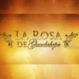プログラムのアイコン：La Rosa de Guadalupe Crea…