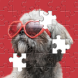 プログラムのアイコン：Jigsaw Puzzles Amazing Ar…