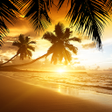 Ikon program: Beach Sunset Live Wallpap…