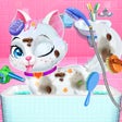 Ikon program: Pet Vet Care Wash Feed An…