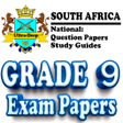 Grade 9 Exam Papers