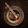 Programikonen: Saregama Classical
