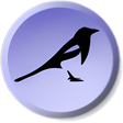 Icon of program: Magpie Pro