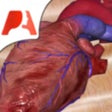 أيقونة البرنامج: Pocket Heart