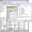 プログラムのアイコン：010 Editor