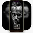 プログラムのアイコン：Ragnar Wallpapers vinking…