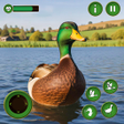 程序图标：Ultimate Duck Family Sim