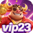 프로그램 아이콘: vip23Match