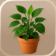 Programın simgesi: Plant Care - Identify Flo…