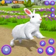 Cute Bunny Life Simulator 3D