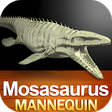 Mosasaurus Mannequin