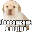 Icono de programa: Stickers del Perrito Tris…
