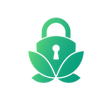Programikonen: ZenVault VPN