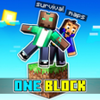 程序图标：One Block Maps