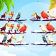 プログラムのアイコン：Sweet Bird Sort Color Puz…
