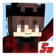 Ícone do programa: Subway Craft
