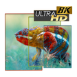 أيقونة البرنامج: Wallpapers 8K