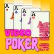 プログラムのアイコン：Video Poker Multi.