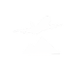 程序图标：Onboard Performance Tool