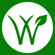 程序图标：Wikiveg