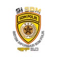 Ikon program: SiSDM