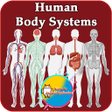 Ícone do programa: Human Body Systems
