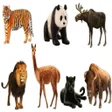 Icon of program: AtoZ Animal Name