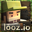 Иконка программы: looz.io