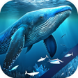 Icon of program: Blue Whale Video Live Wal…