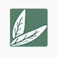 أيقونة البرنامج: Lye Calculator