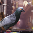 プログラムのアイコン：Crappy Bird: Pigeon Simul…