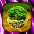 Icon of program: Nature Wallpaper Live HD3…