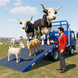 Ikon program: Real Animal Cargo Games 2…