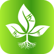 Icon of program: NSE Stock Screener