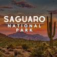 Programın simgesi: Saguaro National Park Gui…