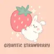 Gigantic Strawberry HOME