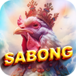 程序图标：Vboo Sabong Family Match …