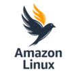 Icon of program: Amazon Linux 2