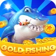 Gold Fishing-Daily Catch